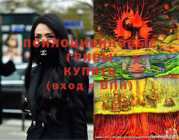 твердый Алексеевка