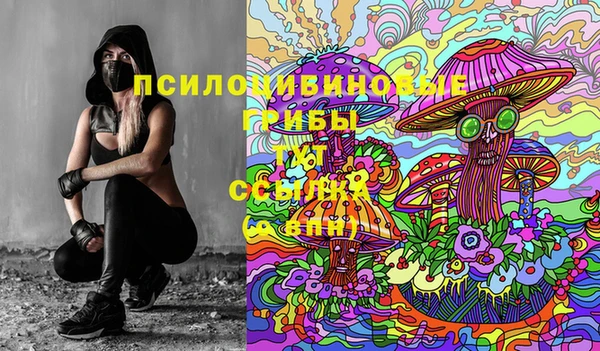 прущий лед Алзамай