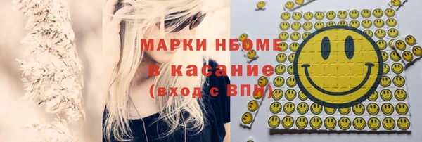 прущий лед Алзамай