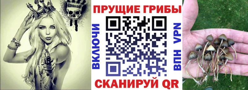 Псилоцибиновые грибы ЛСД Славск